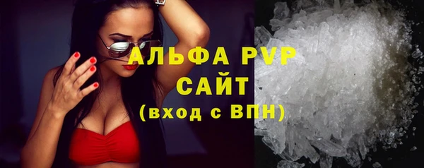 стафф Вяземский