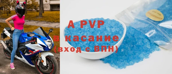 стафф Вяземский