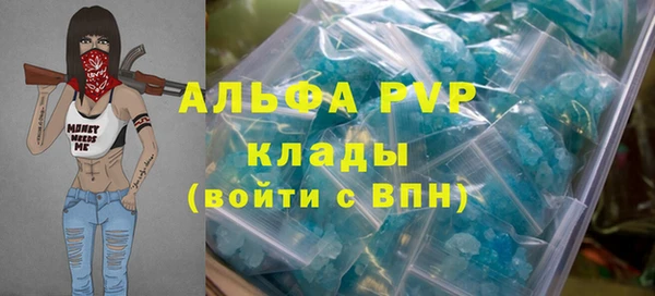стафф Вяземский